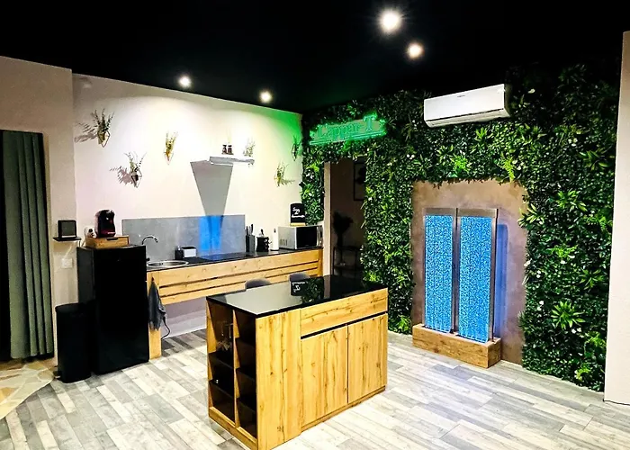 公寓 L'appar-t Loft Avec Privatif Et Jardin 日尔