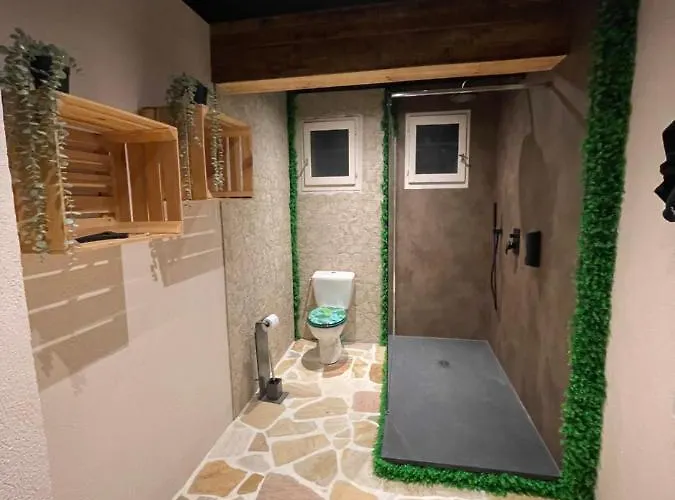 L'appar-t Loft Avec Privatif Et Jardin 公寓 日尔