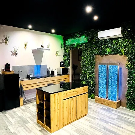 公寓 L'appar-t Loft Avec Privatif Et Jardin 日尔
